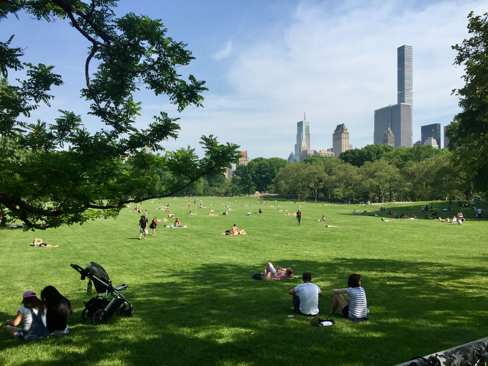 SPEND A DAY IN THE EVER-ENCHANTING CENTRAL PARK